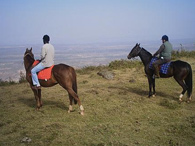 Horse ride to Ngong Hills