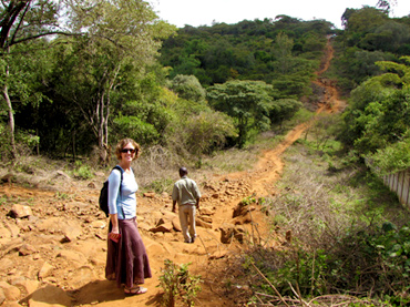 Walk to Giraffe Centre (AFEW)