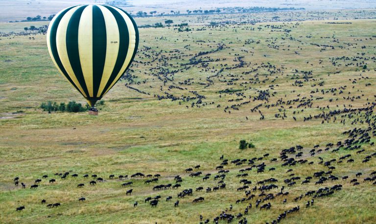 balloon safari